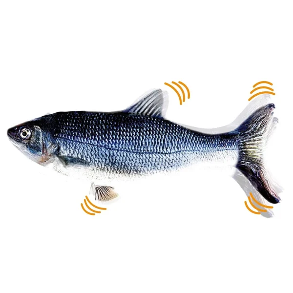 Cats/Dogs: Interactive Floppy Fish Toy