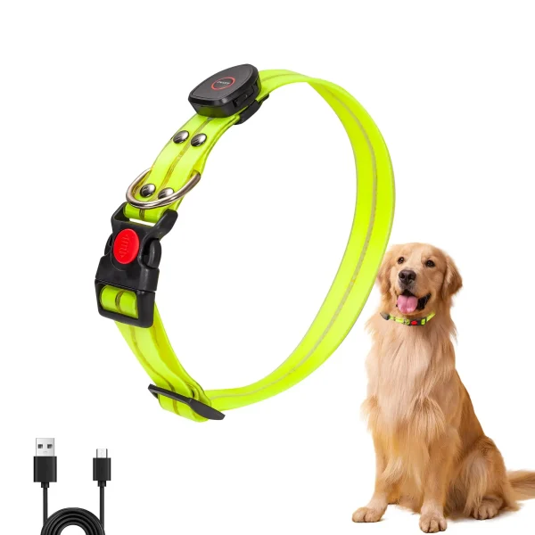 Waterproof And Luminous - USB Rechargeable LED Collar