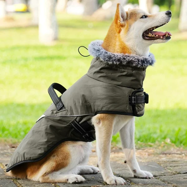 Winter Jacket for Dog/Puppy With Harness Fur Collar