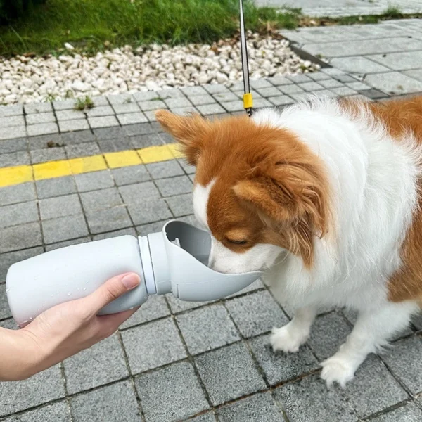 Foldable Outdoor Travel Kettle with Water Cup
